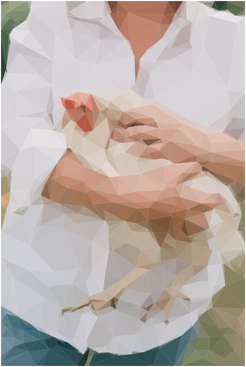 woman-chicken-pixel-art-hen-6944825