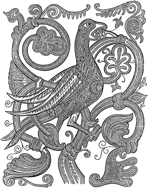 design-bird-animal-ornament-7673497