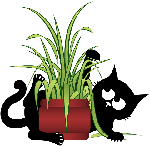 cat-kitten-black-cat-plant-foliage-8686994
