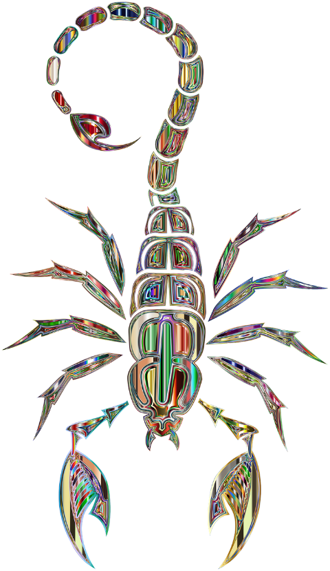 scorpion-arachnid-animal-predator-8057167