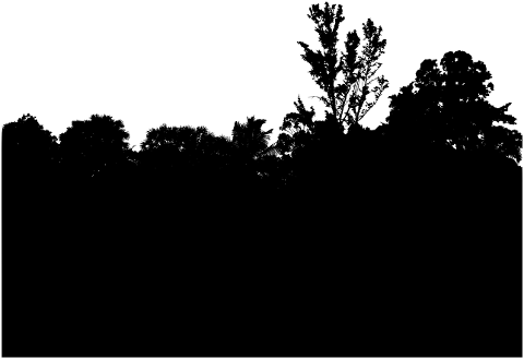 forest-trees-silhouette-landscape-7361804