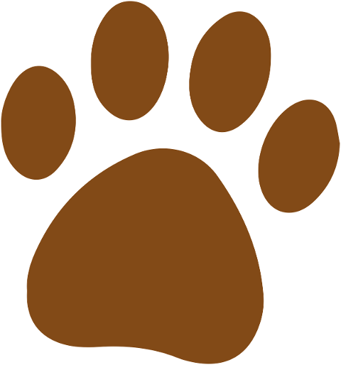 paw-footprint-track-animal-brown-9551678