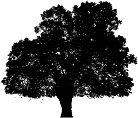 tree-landscape-silhouette-plant-5202286