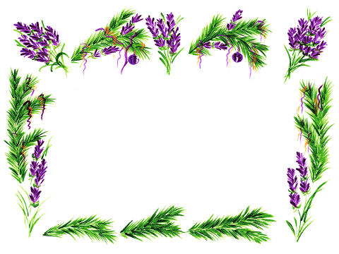 lavender-spruce-needles-frame-6807209