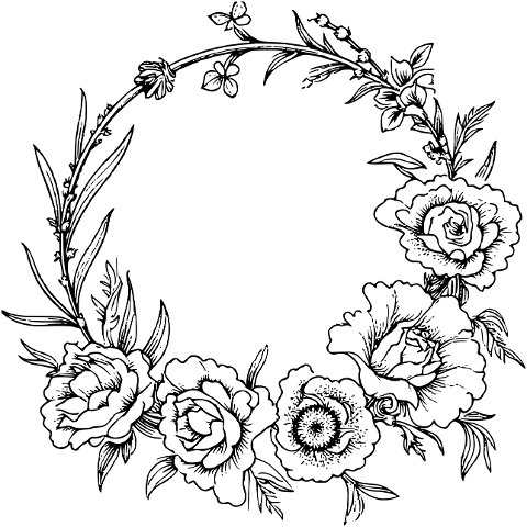 flower-nature-bloom-flora-9414330