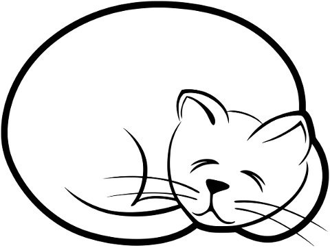sleeping-cat-cat-line-art-sleep-5403361
