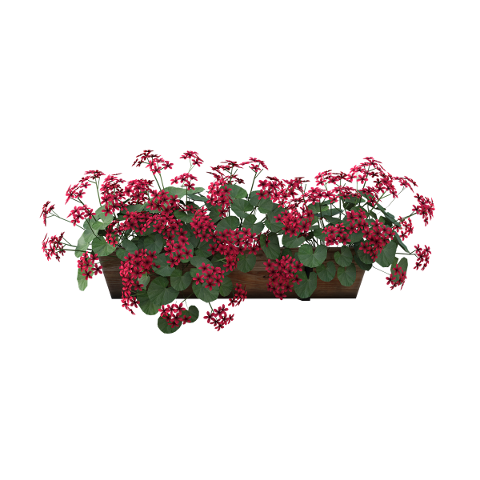 flowers-box-dirt-red-3d-render-5004246