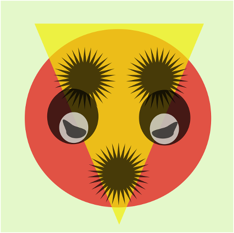 face-owl-bird-artwork-design-7395727