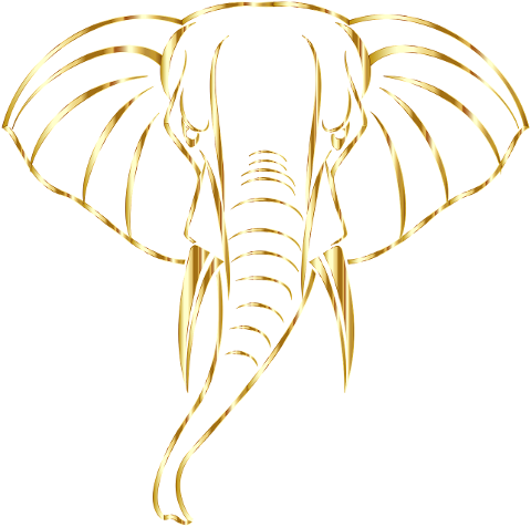elephant-animal-pachyderm-mammal-8057164