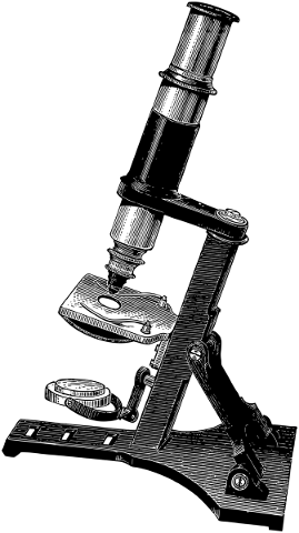 microscope-magnify-line-art-science-5138742