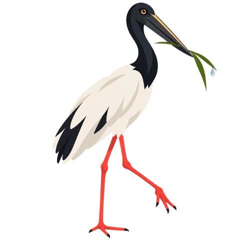 stork-waterbird-wading-bird-10477923