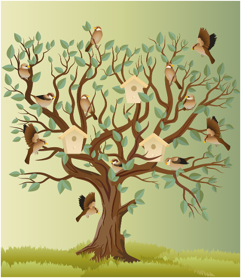 birds-sparrow-tree-perched-6161929
