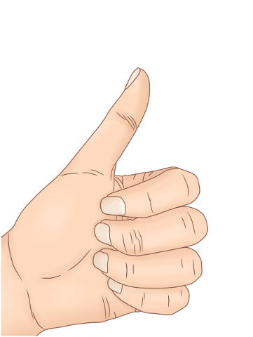 thumbs-up-hand-nail-fingers-thumb-4831851
