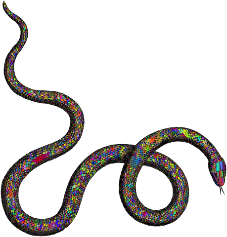 snake-serpent-reptile-animal-5671887