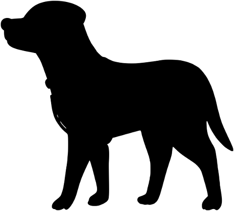 dog-puppy-silhouette-animal-4971630