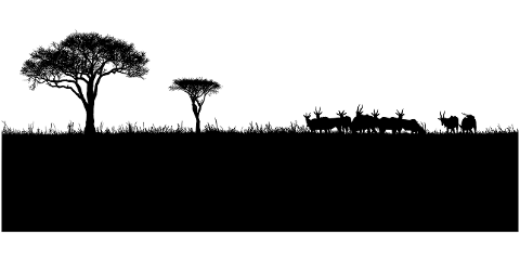 animals-landscape-silhouette-nature-7210395