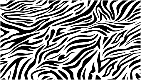zebra-stripes-print-pattern-7075975