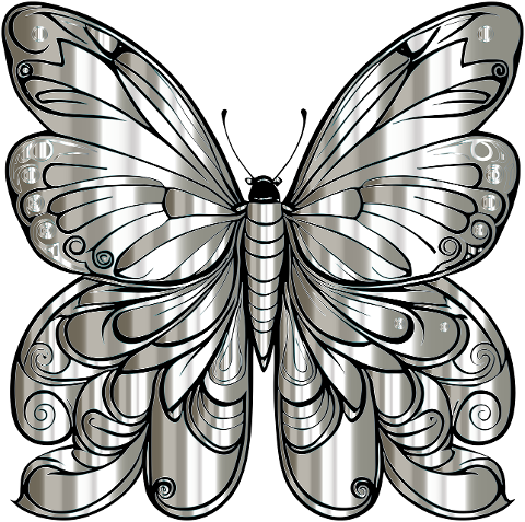 butterfly-insect-animal-wings-8188389