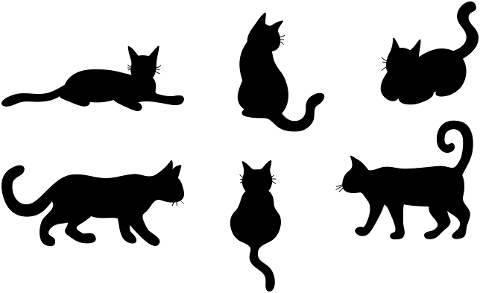 cats-silhouette-tails-sitting-7204431