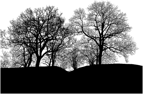 trees-forest-silhouette-branches-6940624