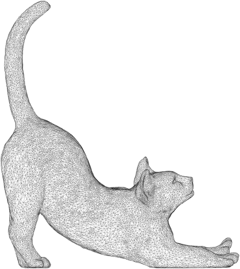 cat-animal-stretching-feline-pet-8000852