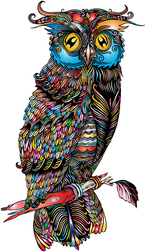 bird-owl-drawing-sketch-art-6539424