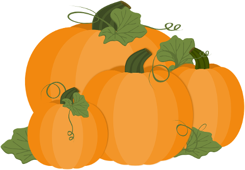pumpkin-autumn-harvest-halloween-10494344