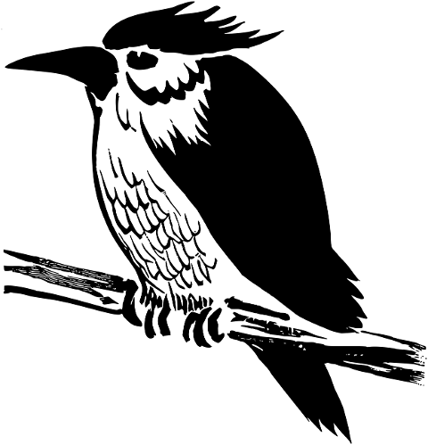 bird-animal-line-art-wildlife-7280511
