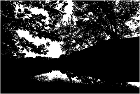 forest-lake-silhouette-trees-6863875