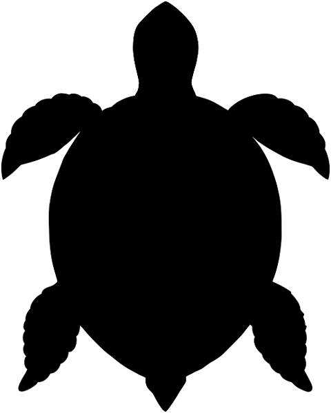 sea-turtle-animal-reptile-wildlife-9556837