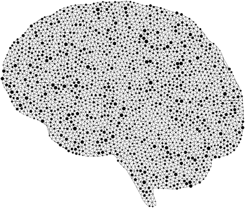 brain-mind-anatomy-biology-9778938