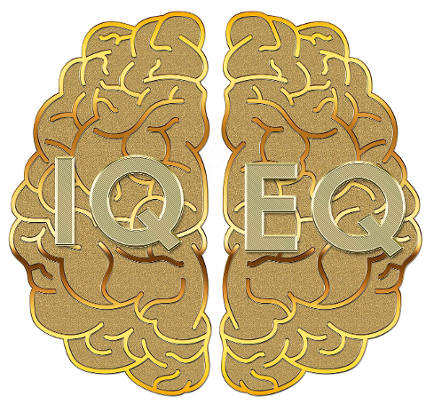 brain-iq-eq-golden-mind-cells-6266238