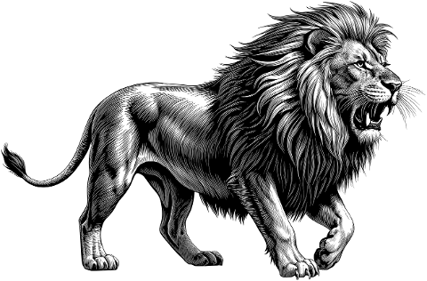 lion-animal-feline-big-cat-mammal-9522363