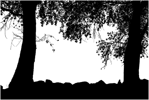 trees-landscape-silhouette-nature-7912342