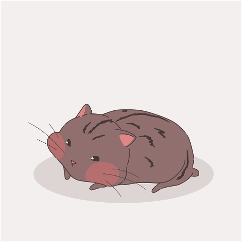 nature-pet-hamster-rodent-animal-9681112