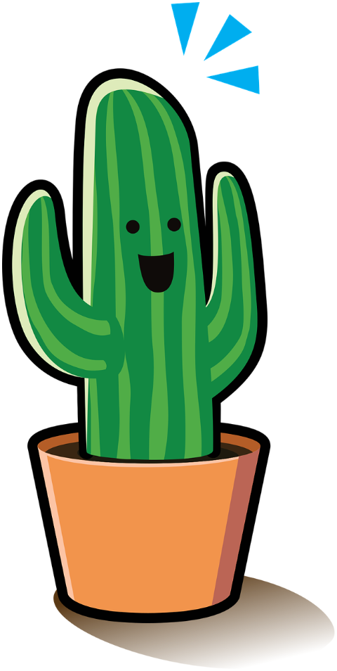 plant-cactus-happy-smile-pot-6923699