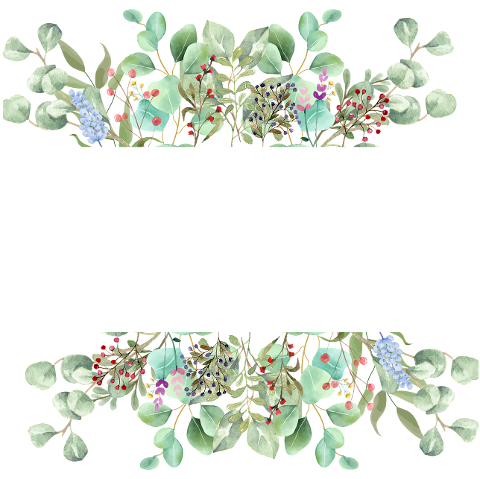 floral-nature-art-design-drawing-6800120