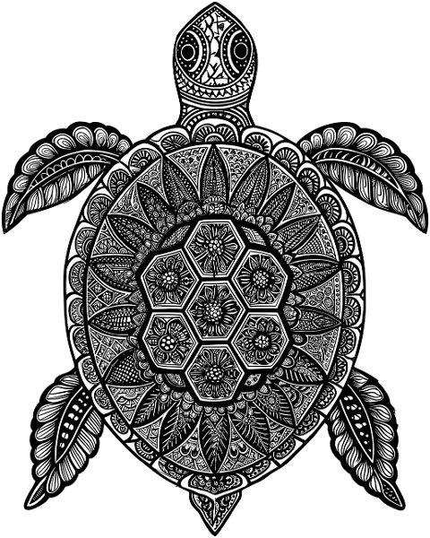 ai-generated-sea-turtle-animal-9556828