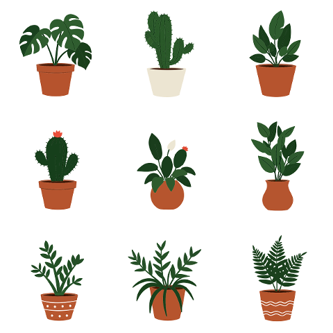 potted-plants-houseplants-indoor-9548973