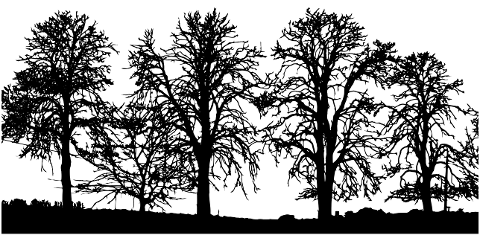 trees-silhouette-nature-chestnuts-7586707