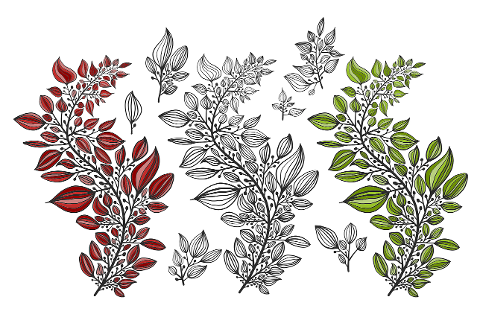 leaves-plant-drawing-art-botanical-6001979