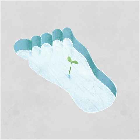 footprints-snow-saplings-creativity-6093999