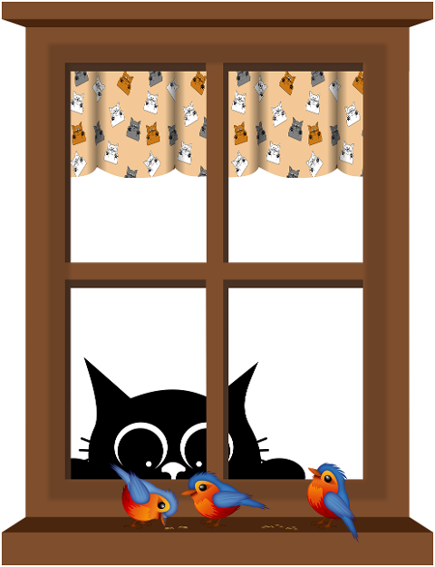 cat-kitten-black-cats-pet-animal-9626178