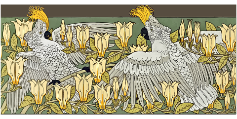cockatoos-birds-flowers-flourish-7411184