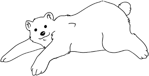 polar-bear-animal-line-art-bear-6137666