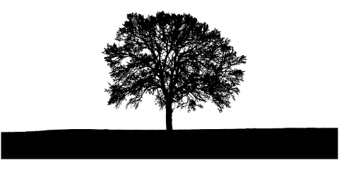 tree-landscape-silhouette-nature-8605250