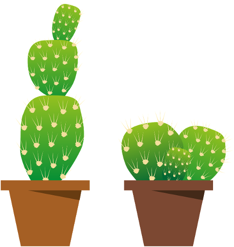 plants-cactus-nature-6881602