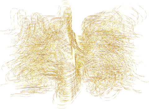 gold-string-line-art-wires-9853851