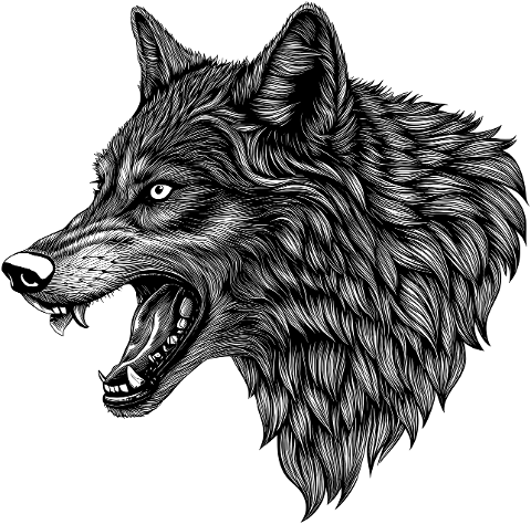 wolf-animal-predator-mammal-canine-9514224