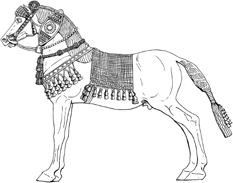 horse-equine-animal-line-art-7361677